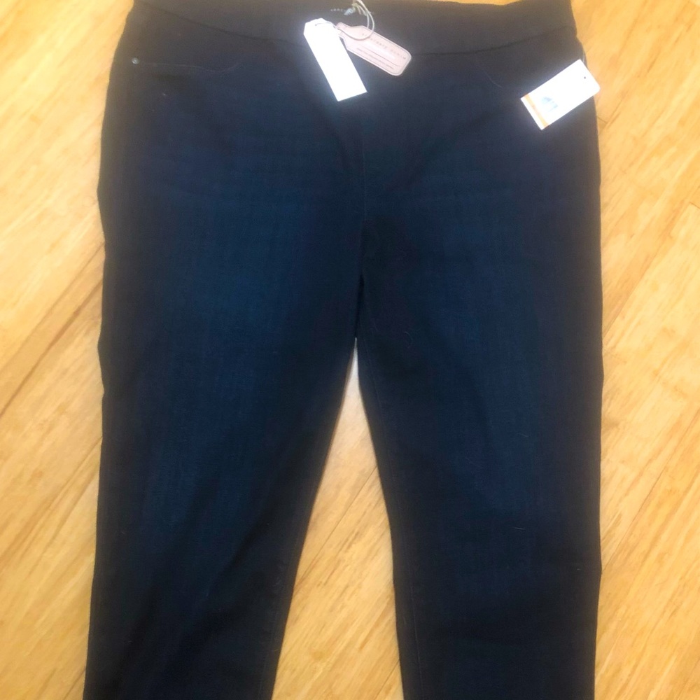 NWT Sanctuary Smart Flex Denim (33/16)